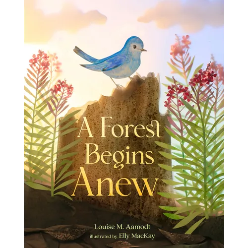 A Forest Begins Anew - Hardcover