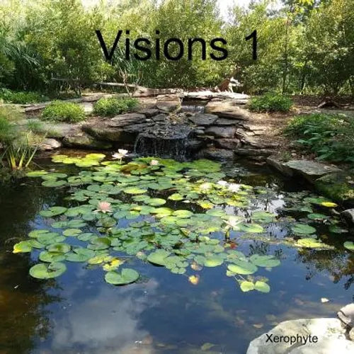 Visions 1 - Paperback