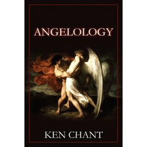 Angelogy - Paperback
