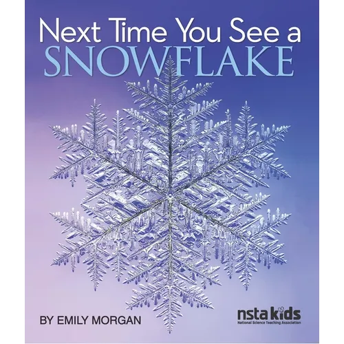 Next Time You See a Snowflake - Paperback
