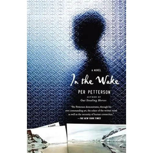 In the Wake - Paperback
