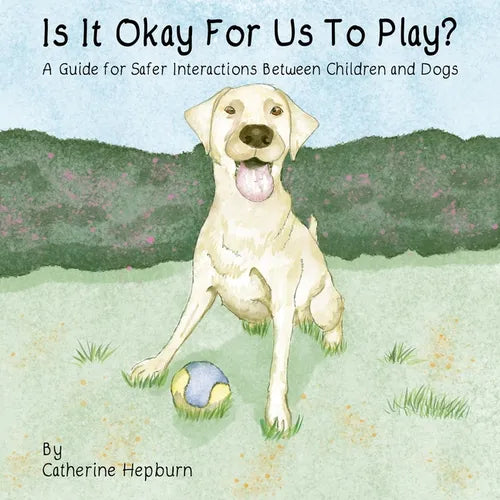 Is It Okay For Us To Play? - Paperback