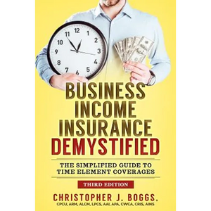 Business Income Insurance Demystified: The Simplified Guide to Time Element Coverages - Paperback