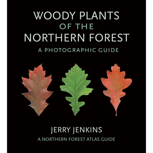Woody Plants of the Northern Forest: A Photographic Guide - Paperback