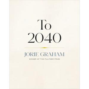To 2040 - Paperback