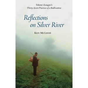 Reflections on Silver River - Paperback