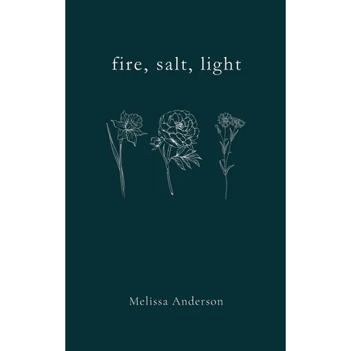 fire, salt, light - Hardcover