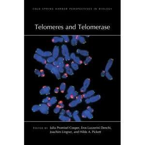 Telomeres and Telomerase - Hardcover