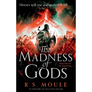 The Madness of Gods: An unforgettable epic fantasy of war and magic - Paperback
