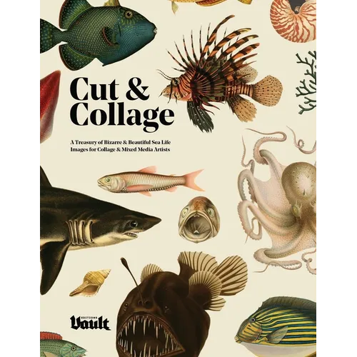 Cut and Collage - Paperback