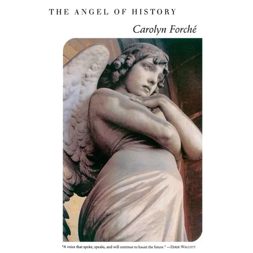 The Angel of History - Paperback
