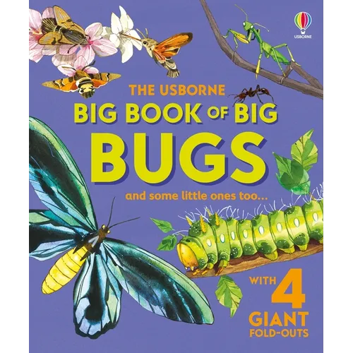 Big Book of Big Bugs - Hardcover