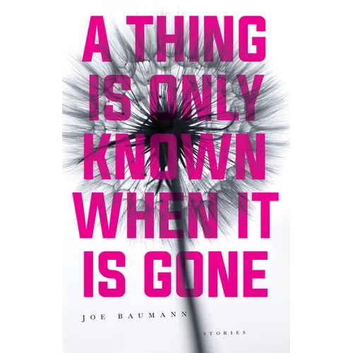 A Thing Is Only Known When It Is Gone - Paperback