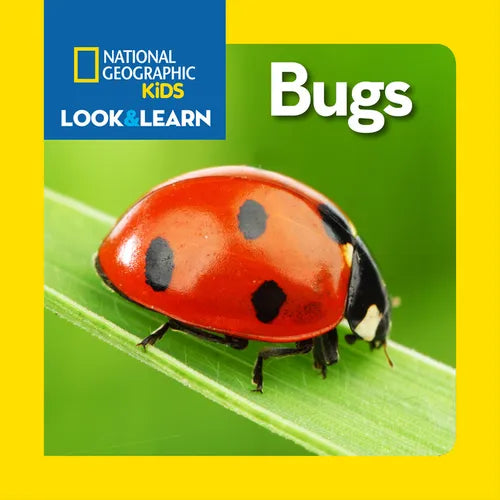 National Geographic Kids Look & Learn: Bugs - Board Book