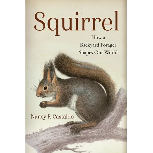 Squirrel: How a Backyard Forager Shapes Our World - Paperback