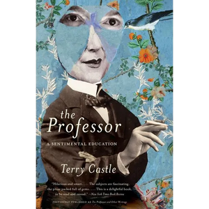The Professor: A Sentimental Education - Paperback