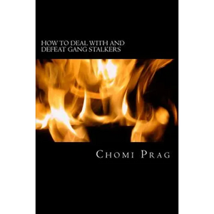 How to Deal with and Defeat Gang Stalkers - Paperback