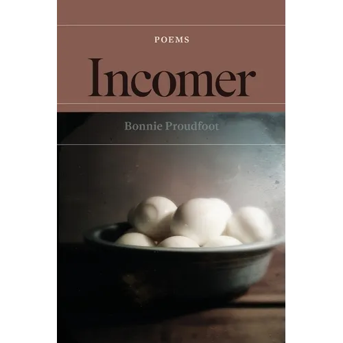 Incomer: poems - Paperback