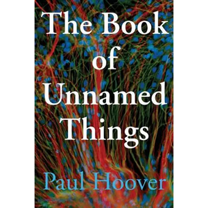 The Book of Unnamed Things - Paperback