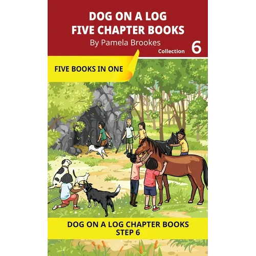 Five Chapter Books 6: Decodable Series for Students Learning to Read. For Developing Readers and Students with Dyslexia. (Step 6-Exception words conta - Paperback
