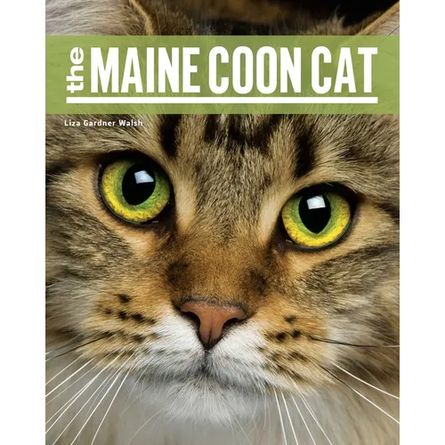 The Maine Coon Cat - Paperback