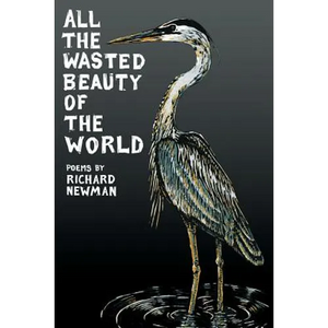 All the Wasted Beauty of the World - Poems - Paperback