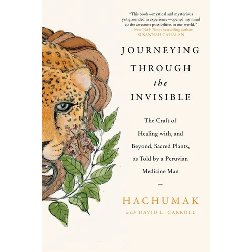 Journeying Through the Invisible - Paperback