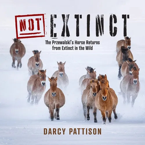 NOT Extinct: The Przewalski's Horse Returns from Extinct in the Wild - Paperback