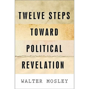 Twelve Steps Toward Political Revelation - Paperback