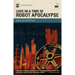 Love in a Time of Robot Apocalypse - Paperback