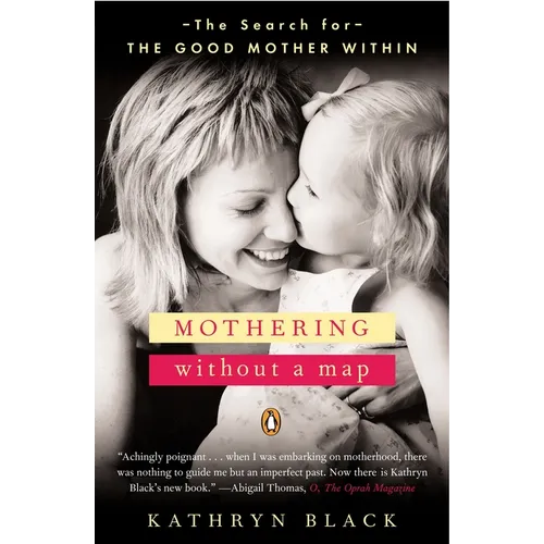Mothering Without a Map: The Search for the Good Mother Within - Paperback