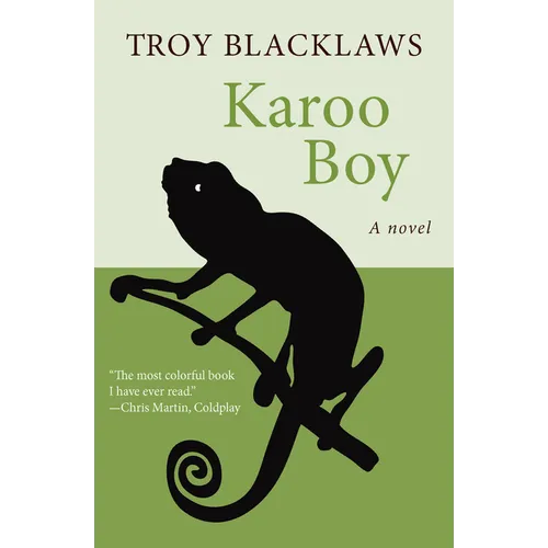 Karoo Boy - Paperback