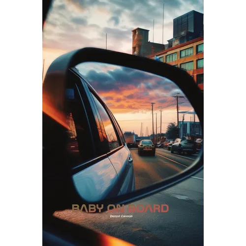 Swapped at Birth: Baby on Board - Paperback