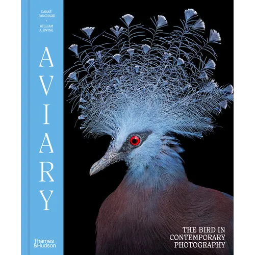 Aviary: The Bird in Contemporary Photography - Hardcover