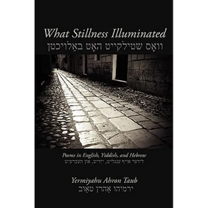 What Stillness Illuminated: Poems in English, Yiddish, and Hebrew - Paperback