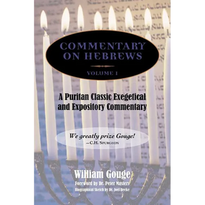 Commentary on Hebrews: Exegetical and Expository - Vol. 1 (Heb. 1-7) - Hardcover