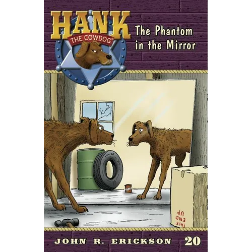 The Phantom in the Mirror - Paperback