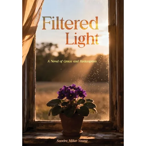 Filtered Light: A Novel of Grace and Redemption - Hardcover
