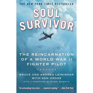 Soul Survivor: The Reincarnation of a World War II Fighter Pilot - Paperback