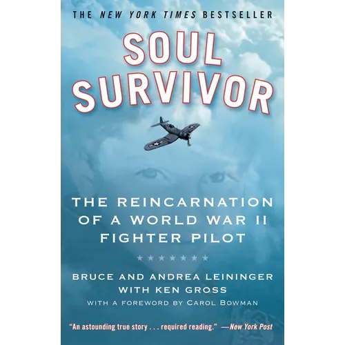 Soul Survivor: The Reincarnation of a World War II Fighter Pilot - Paperback