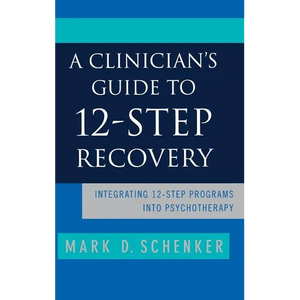A Clinician's Guide to 12-Step Recovery - Hardcover