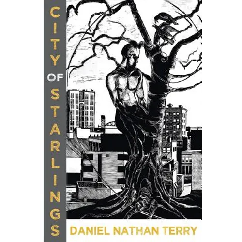 City of Starlings - Paperback