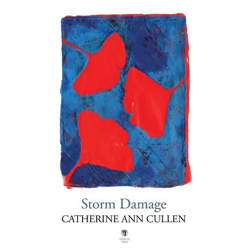 Storm Damage - Paperback